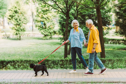 Elderly couple walking their dog in the park