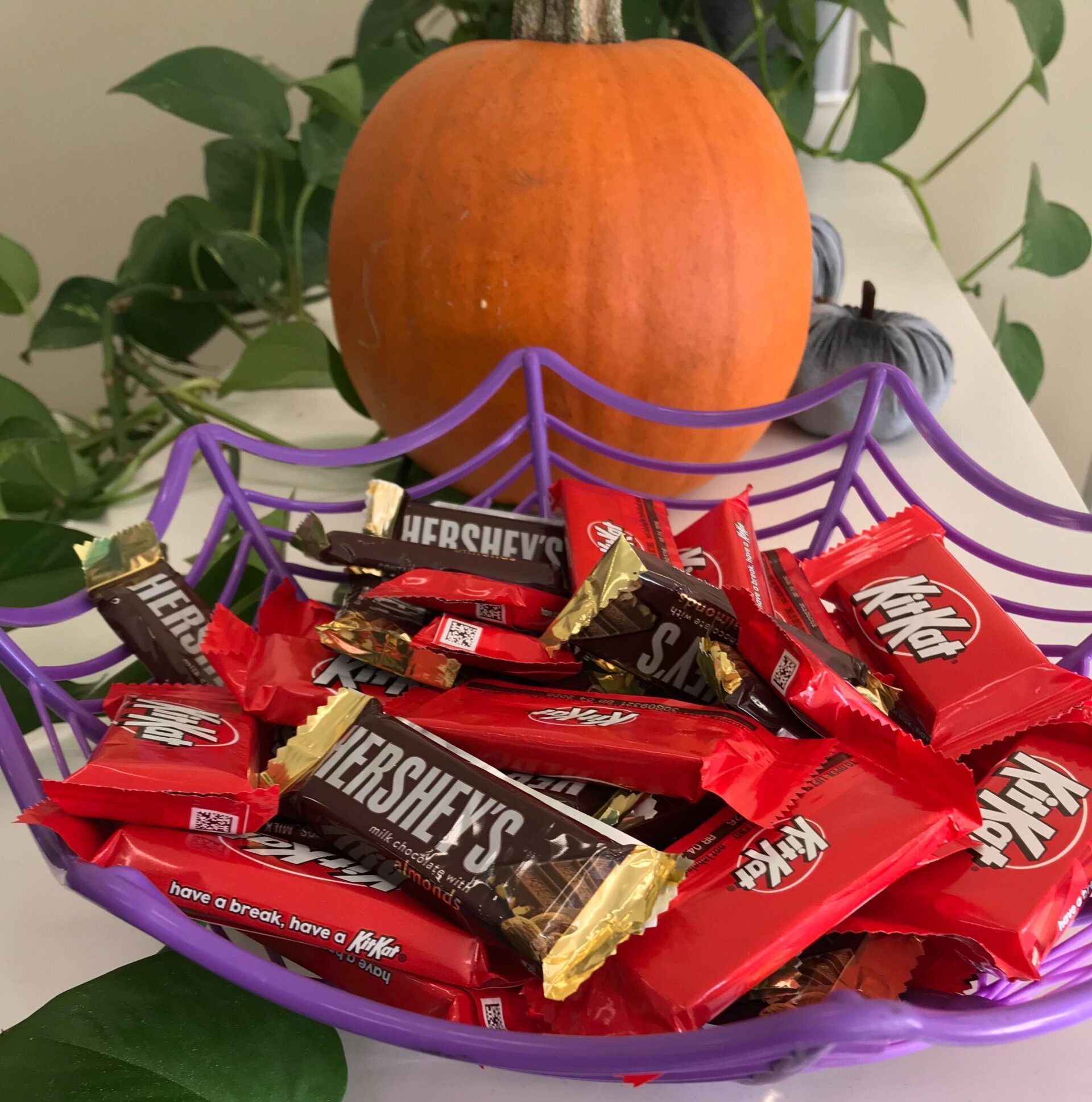 How to manage sugar cravings after Halloween