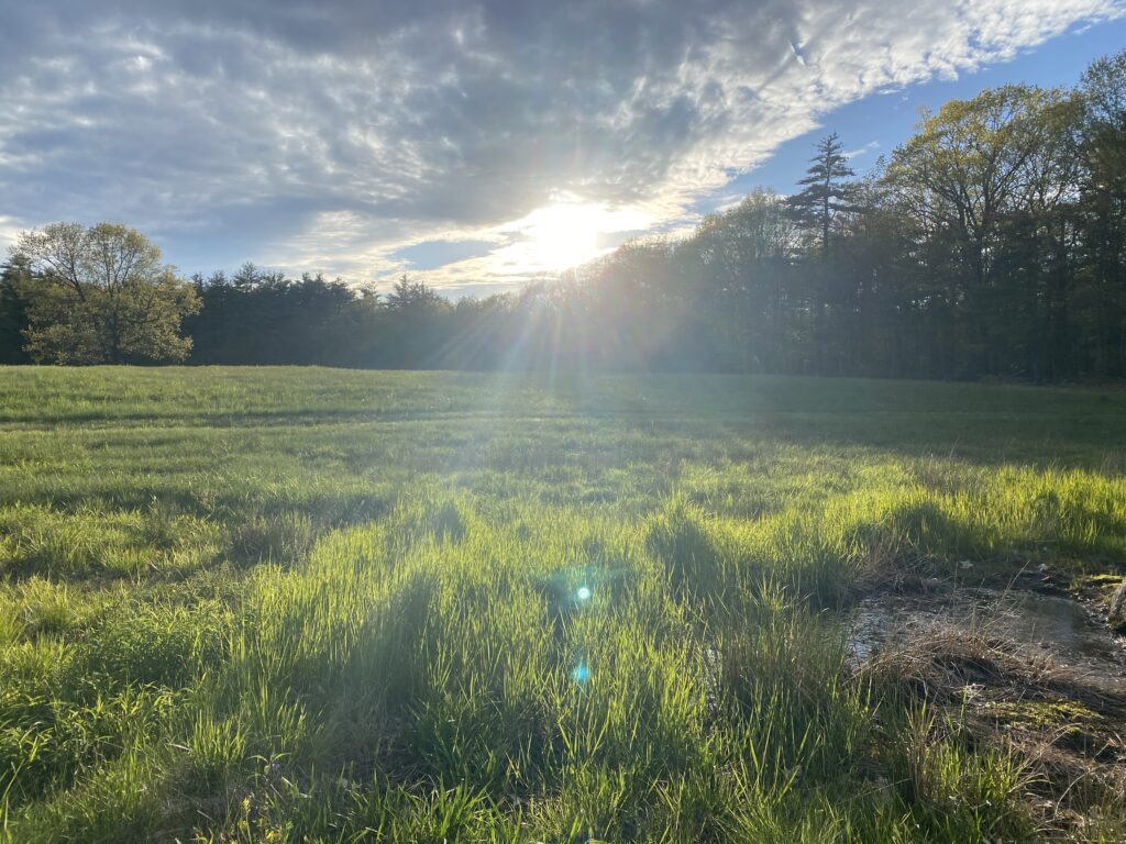 Spring and summer are right around the corner!